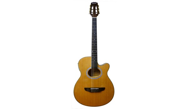 GUITARRA ELECTROCLASICA DANDR   DANDRE
