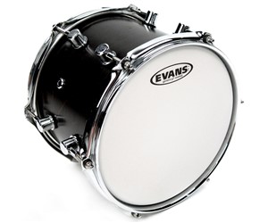 PARCHE EVANS 12P GENERA G1 CTD TOMS  EVANS