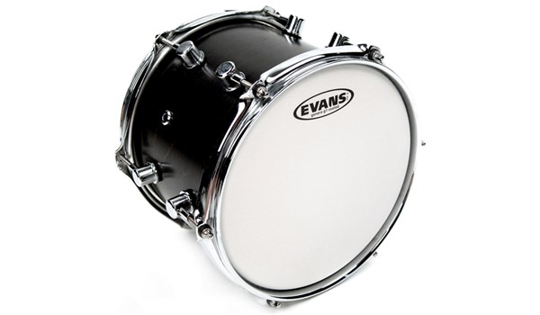 PARCHE EVANS 12P GENERA G1 CTD TOMS  EVANS