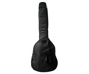 FORRO GUITARRA FOLK DANDRE