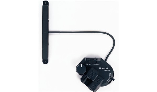 MICROFONO ROLAND PASTILLA DIVI BAJO  ROLAND