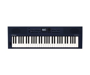 PIANO DIGITAL ROLAND 61 TECLAS   ROLAND