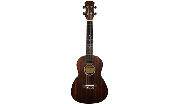 UKULELE ELECTRO ACUSTICO DANDRE  CONCERT