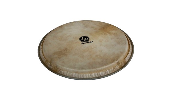 PARCHE LP GALAXY 14 DJEMBE