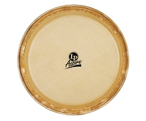 PARCHE LP PARA CONGA 10P