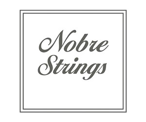 CUERDAS SET VIOLIN NOBRE