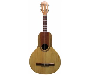 BANDOLA LLANERA   DANDRE