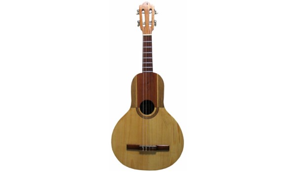 BANDOLA LLANERA   DANDRE