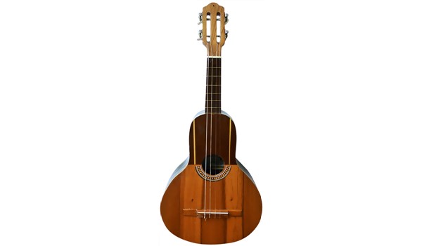 BANDOLA LLANERA ELECTRICA   DANDRE