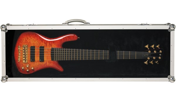 ESTUCHE WARWICK DE ESCENARIO P ESTUCHES PARA INSTRUMENTOS  WARWICK