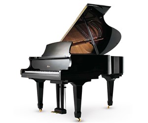 PIANO DE COLA YOUNG CHANG NEGR   YOUNG CHANG